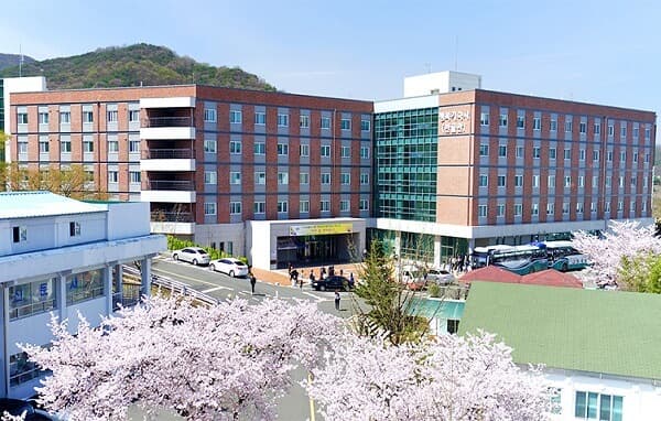 Khu nội trú tại Đại học Daegu Haany được ưu tiên cho sinh viên tham gia chương trình trao đổi.