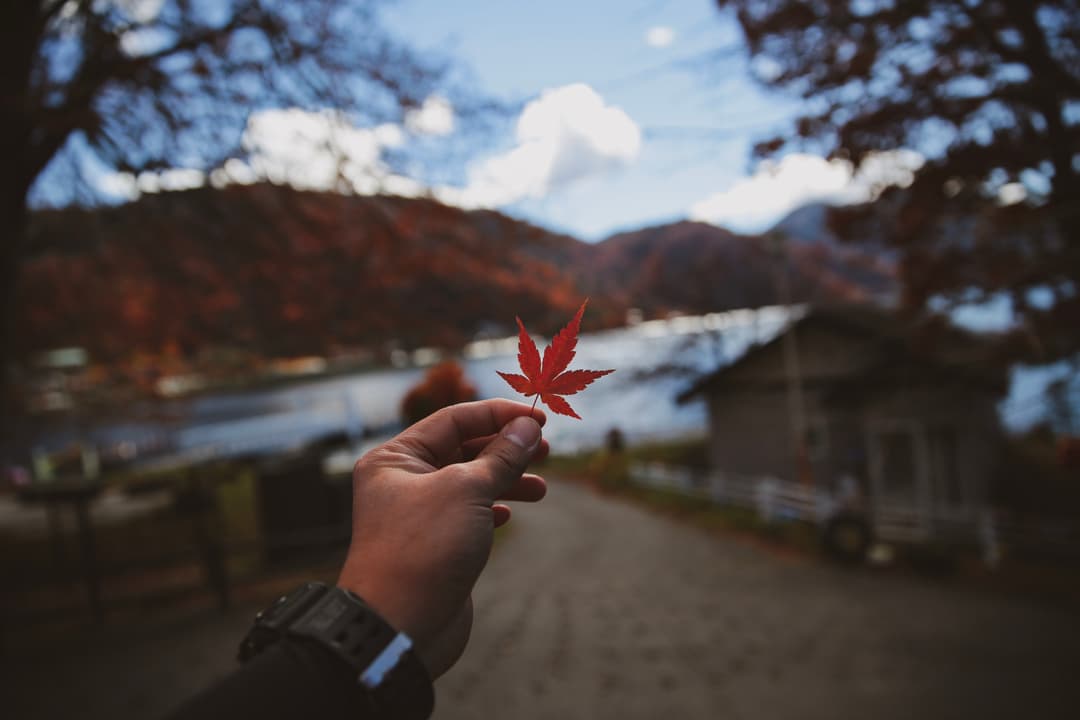 Biểu tượng của Canada không chỉ được thể hiện qua lá phong đỏ trên cờ của họ mà còn thông qua nhiều giá trị và phẩm chất đặc trưng.
