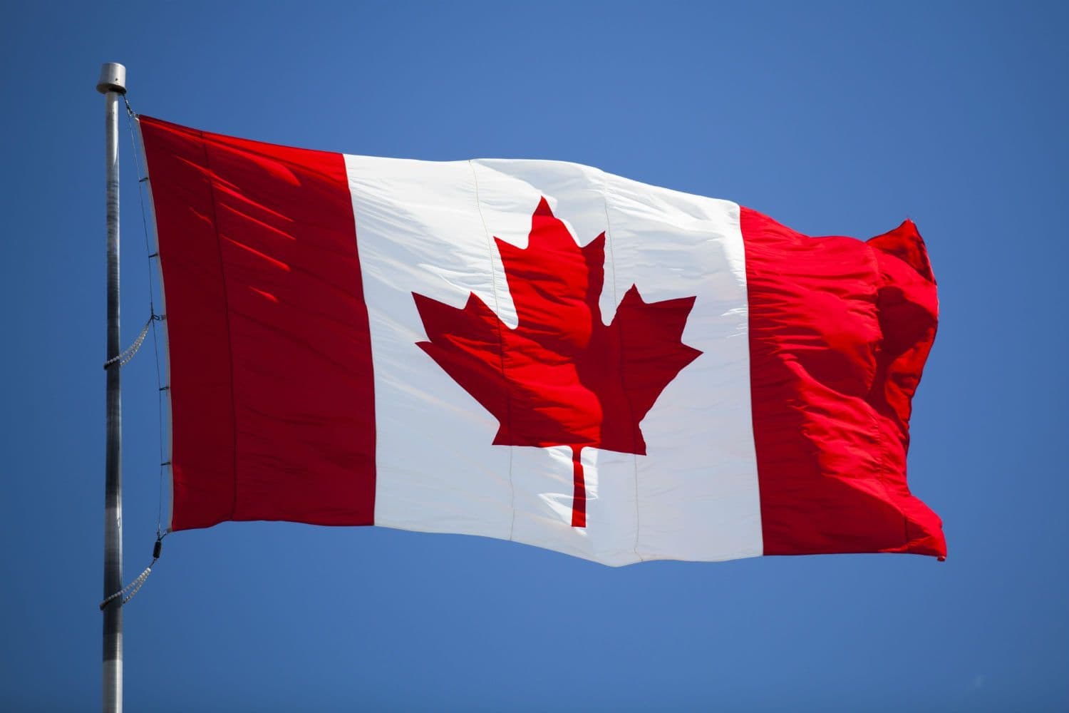 Biểu tượng của lá phong đỏ đã được thể hiện mạnh mẽ trên quốc kỳ của Canada.