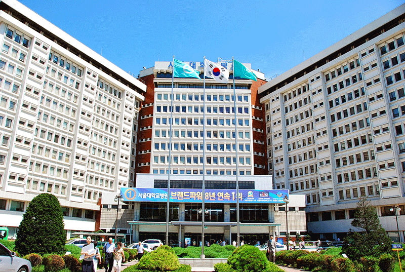 Đại học Quốc gia Seoul được xem là ngôi trường có tỉ lệ sinh viên quốc tế cao nhất tại Hàn Quốc